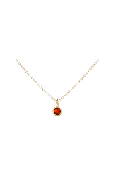 Gold Birthstone Necklace - January