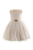 Sparkle Star Tulle Dress