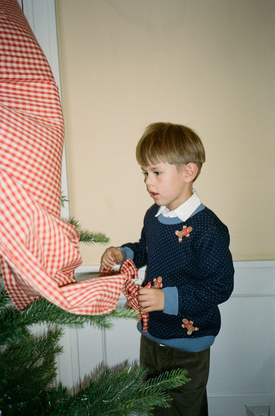 FLOSS - BB - HOLGER SWEATER - NAVY GINGERBREAD