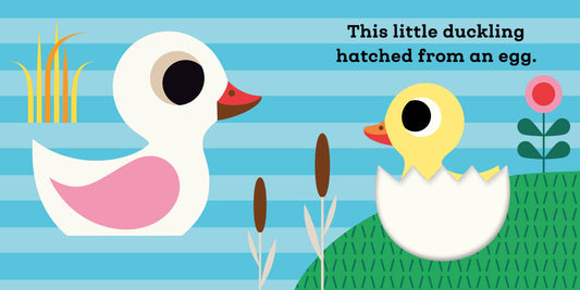 HACHETTE BOOK GROUP - T&B - THIS LITTLE DUCKLING - BOARD BOOK