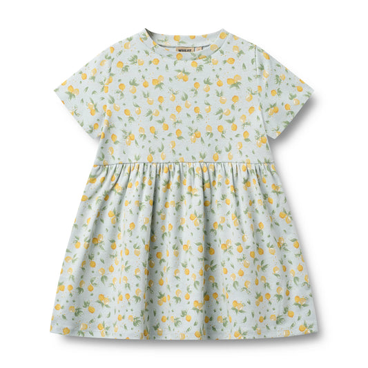 WHEAT - BG - ANNA JERSEY DRESS S/S - SUMMER BLUE CITRUS