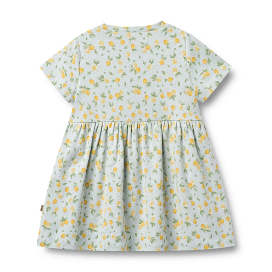 WHEAT - BG - ANNA JERSEY DRESS S/S - SUMMER BLUE CITRUS