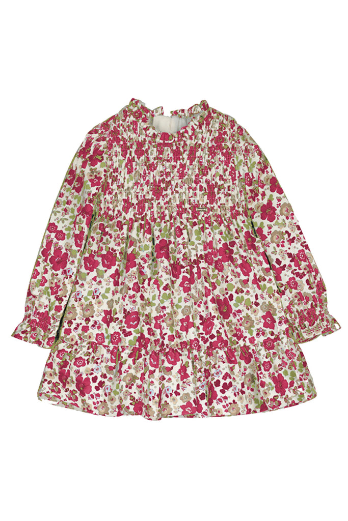 Floral Printed Velvet Dress Red