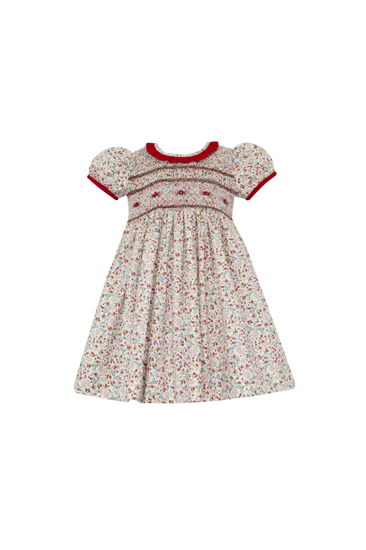 Anavini - TG- Lily Holiday Liberty Floral Dress - Red & Pink