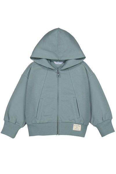 Zip Up Hooded Sweatshirt Sage