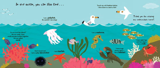 CHRONICLE BOOKS - T&B - TOUCH AND EXPLORE: THE OCEAN