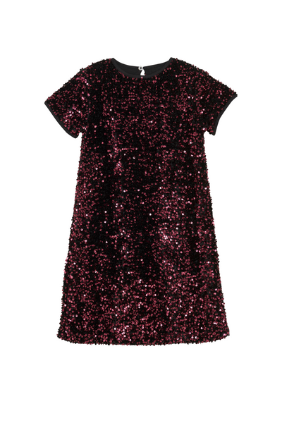 Robo - Wine Velour Sequin Dress