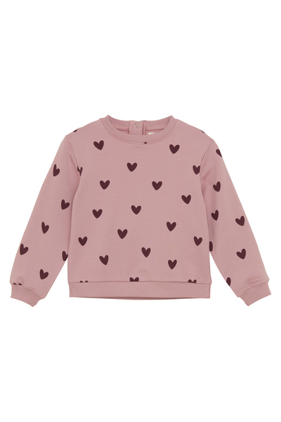 Robo - Pink Hearts Sweatshirt