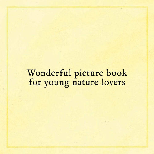 CHRONICLE BOOKS - T&B - WHEN YOU FIND THE RIGHT ROCK