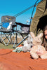 Kip Kangaroo & Baby Joey Soft Toy