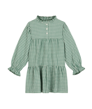 PETIT BATEAU - BG - GIRL LS CHECK AND HEART PRINT DRESS - WHITE GREEN