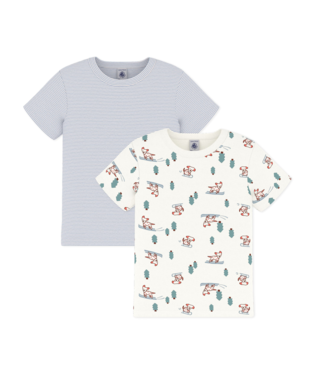 PETIT BATEAU TB BOY 2 PACK SS STRIPE AND DOG PRINT TEE MULTI