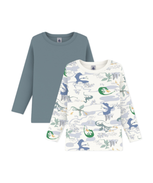 PETIT BATEAU TB BOY 2 PACK LS DINOSAUR PRINT AND SOLID TEE MULTI