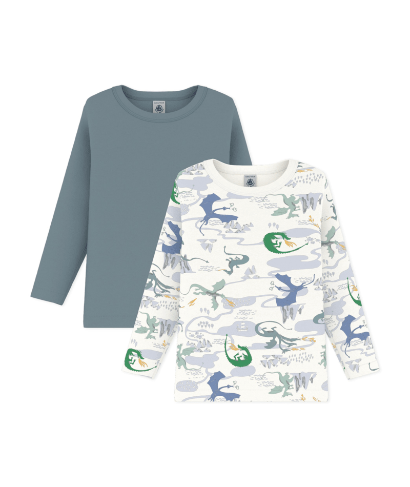 PETIT BATEAU TB BOY 2 PACK LS DINOSAUR PRINT AND SOLID TEE MULTI