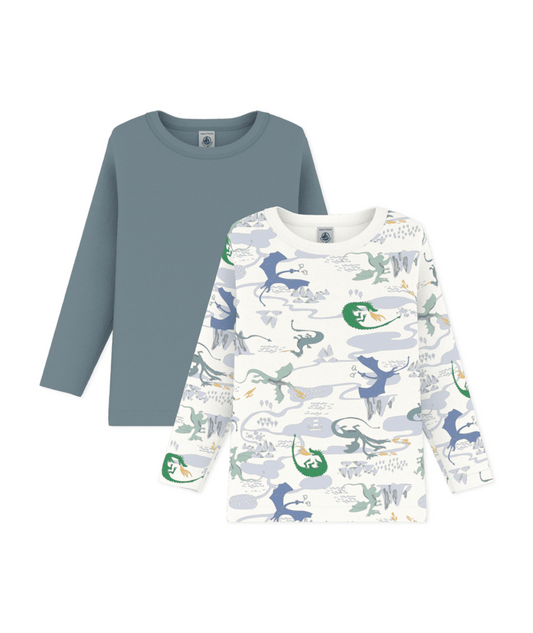 PETIT BATEAU TB BOY 2 PACK LS DINOSAUR PRINT AND SOLID TEE MULTI