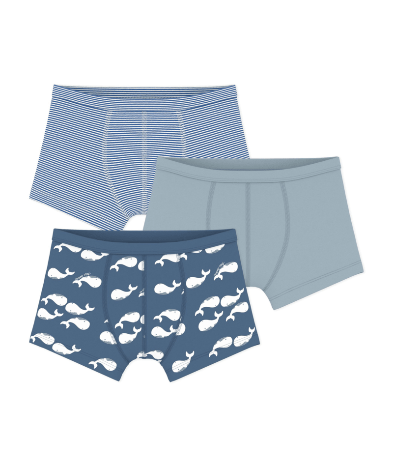 PETIT BATEAU BB BOY 3 PACK STRIPE WHALE PRINT AND SOLID BOXERS BLUE MULTI