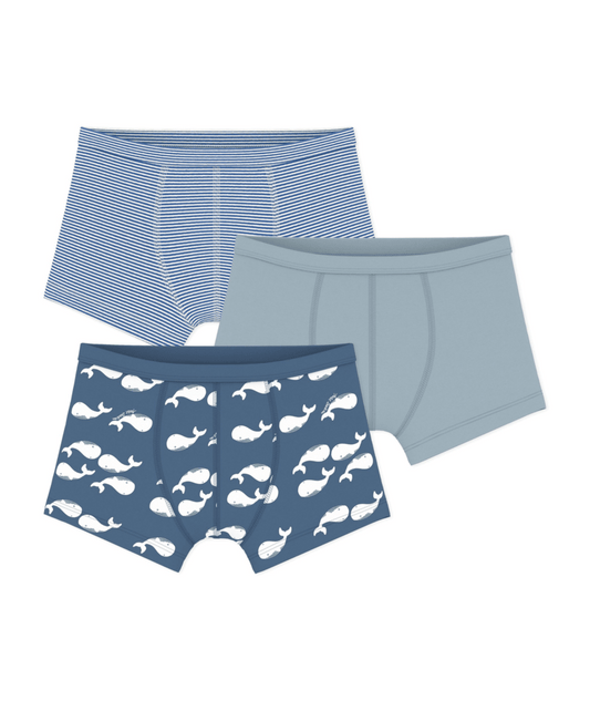 PETIT BATEAU BB BOY 3 PACK STRIPE WHALE PRINT AND SOLID BOXERS BLUE MULTI