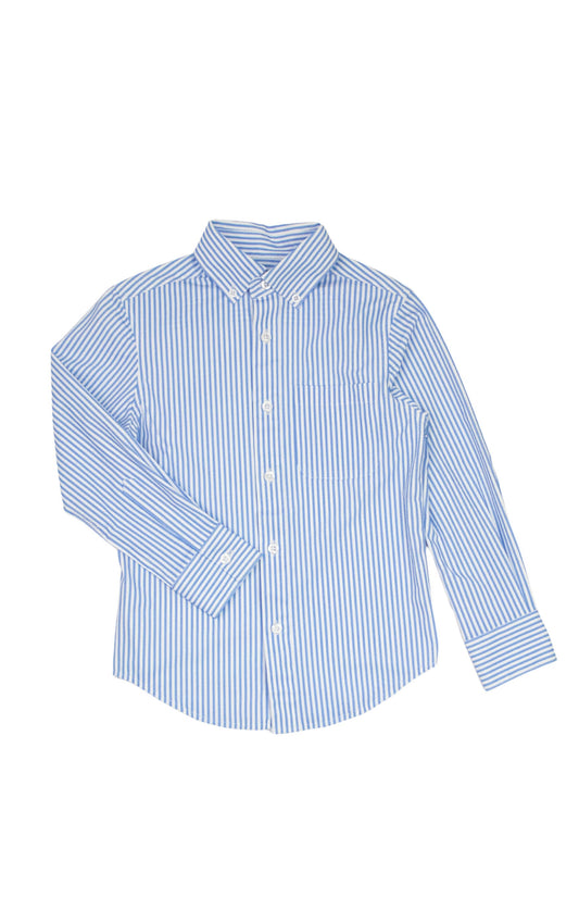 APPAMAN - TB - STANDARD STRETCH SHIRT - BLUE PINSTRIPE