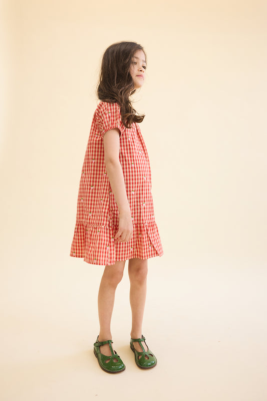 FLOSS - TG - MOLLY PINEBERRY DRESS - RED-PINK BERRY GINGHAM