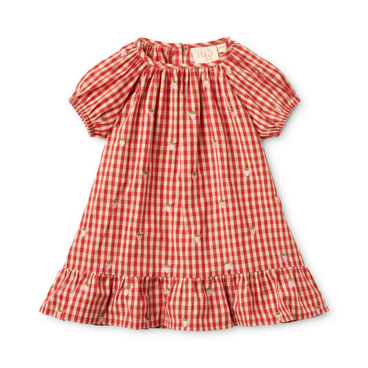 FLOSS - TG - MOLLY PINEBERRY DRESS - RED-PINK BERRY GINGHAM