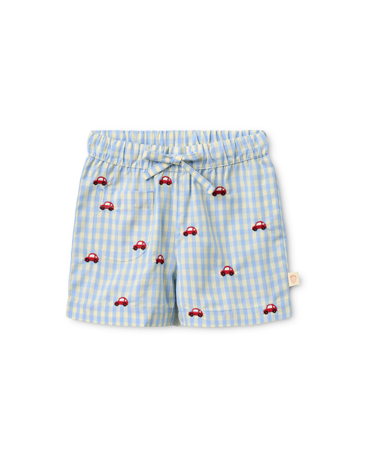 FLOSS - TB - ALBERT SHORTS - BLUE GINGHAM