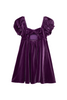 Purple Tie Back Velour Dress