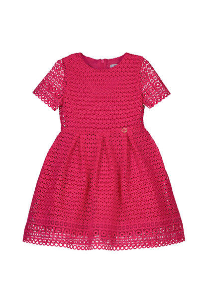Dark Pink Embroidered Dress