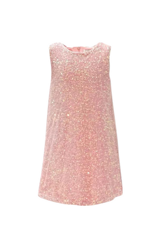Rose Shimmer Dress