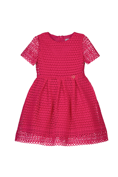 Dark Pink Embroidered Dress