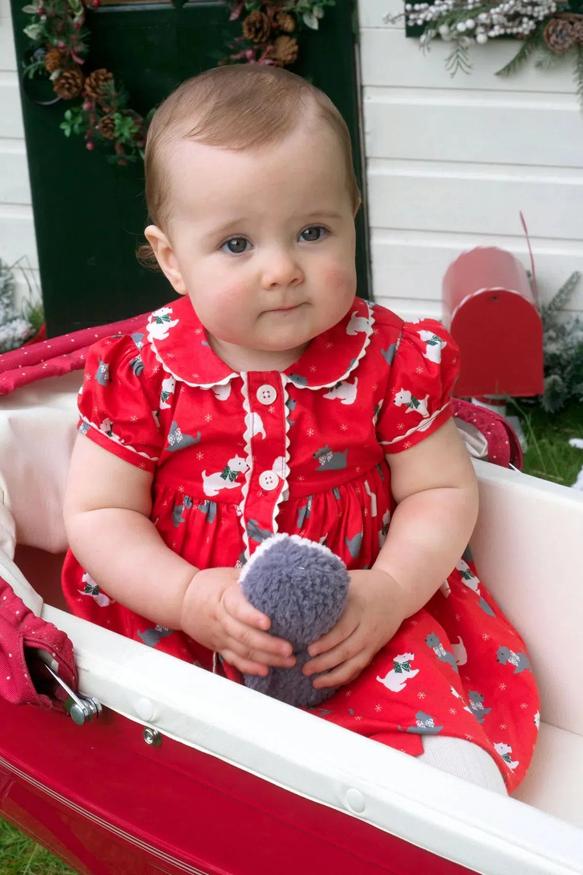 Rachel Riley - Scottie Dog Button Front Dress & Bloomers Set Infant Babies Fall Winter 2024 Holiday Christmas Rachel Riley - Scottie Dog Button Front Dress & Bloomers Set Infant Babies Fall Winter 2024 Holiday Christmas