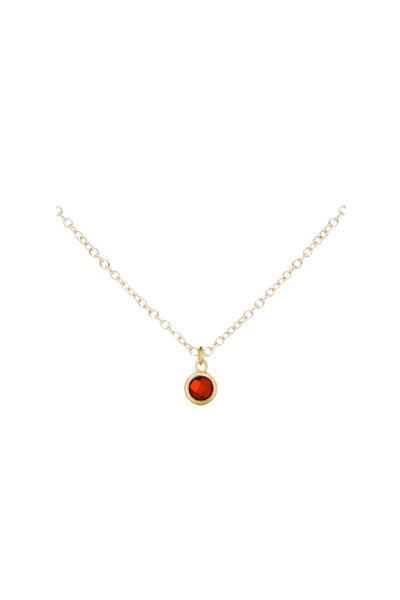 Gold Birthstone Necklace - January