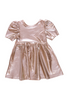 Pink Chicken - Champagne Textured Lame Laurie Dress