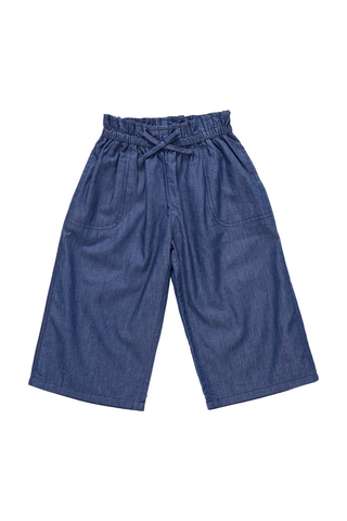 Pink Chicken - Chambray Theodore Pant