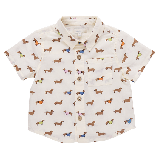 PINK CHICKEN - TB - BOYS JACK SHIRT - DACHSHUNDS IN SWEATERS