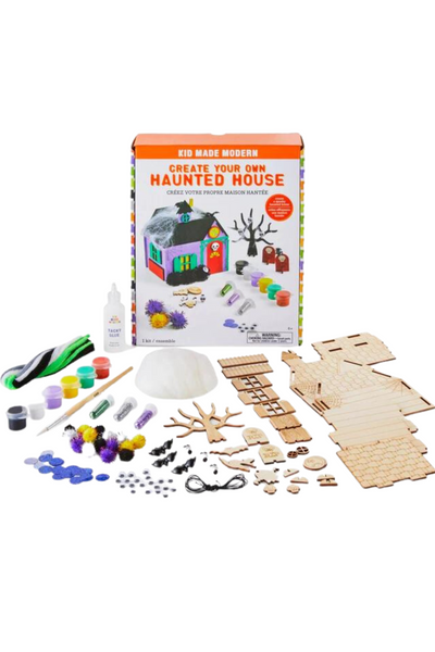 Create Your Own Haunted House Kit