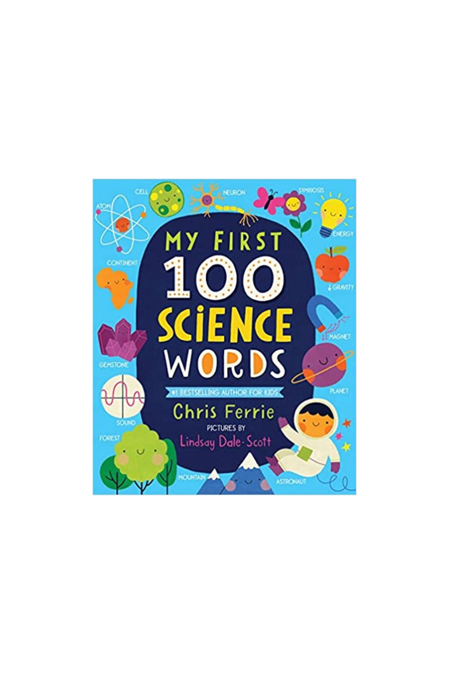 CLASS: BOARD BOOKS