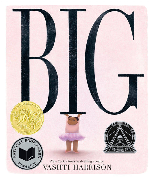 HACHETTE BOOK GROUP - T&B -  BIG