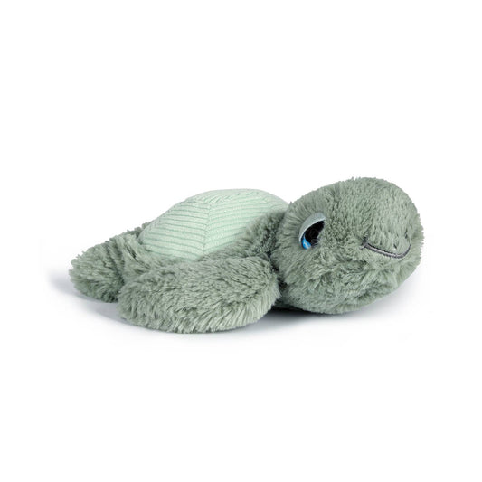 OB - T&B - LITTLE TYLER TURTLE