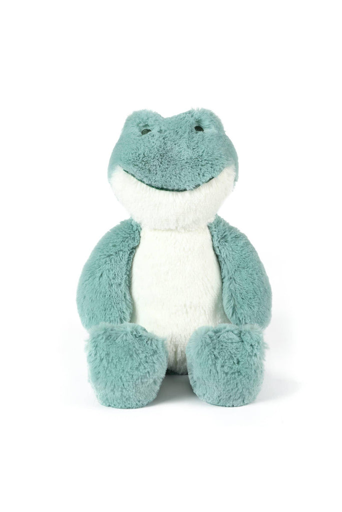 Freddy Frog Soft Toy