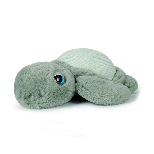 OB - T&B - LITTLE TYLER TURTLE