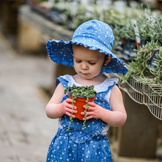 OH BABY! - BBY - SUNBURST RUFFLE SUNHAT - DENIM